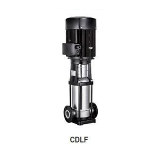 CDLF